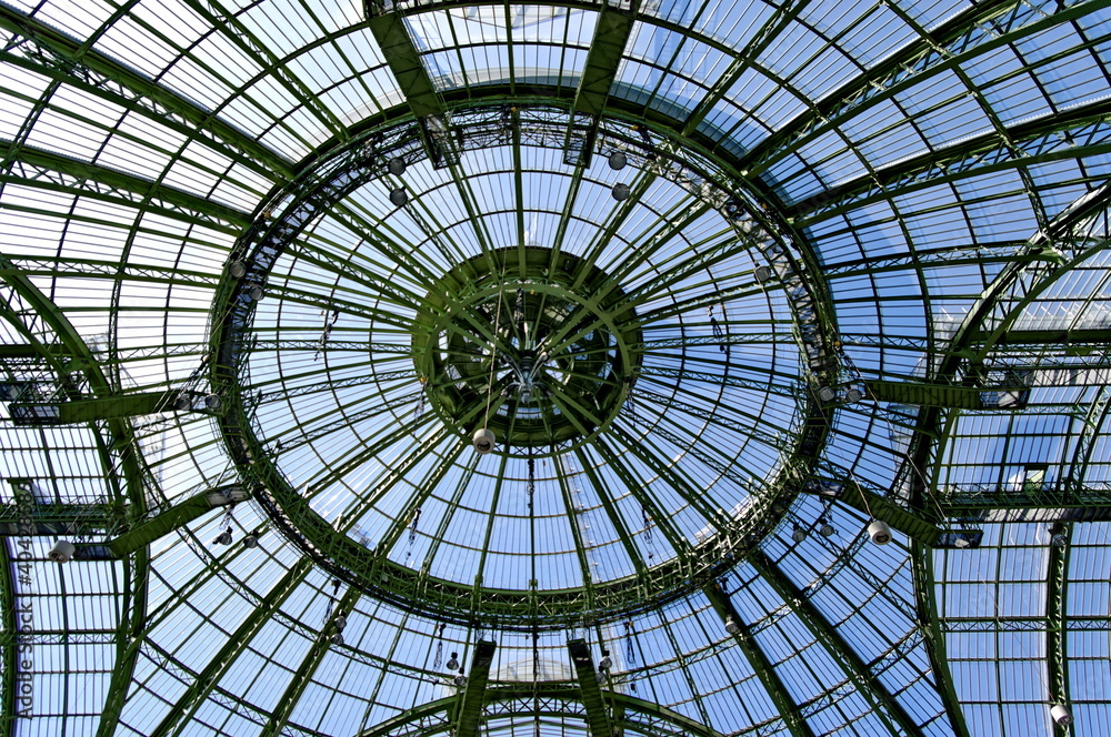 Fototapeta premium Kopuła i szklany dach Grand Palais, Paryż, Francja.