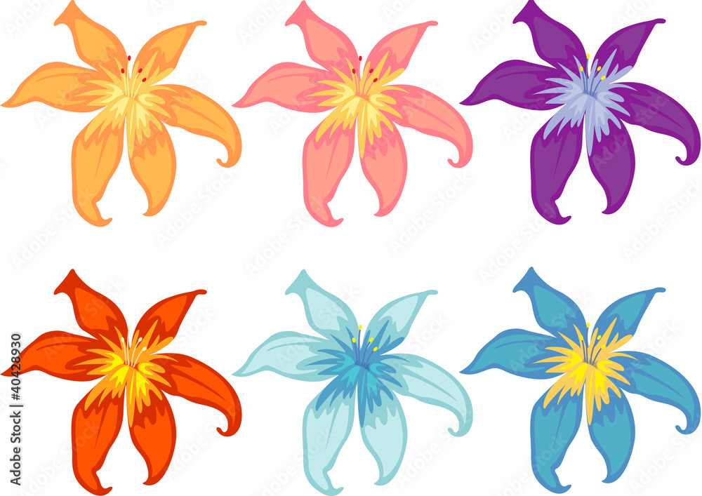Obraz premium Flowers of different colours