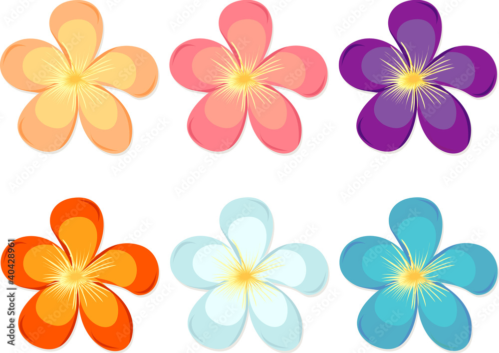 Flowers of different colours Flowers of different colours