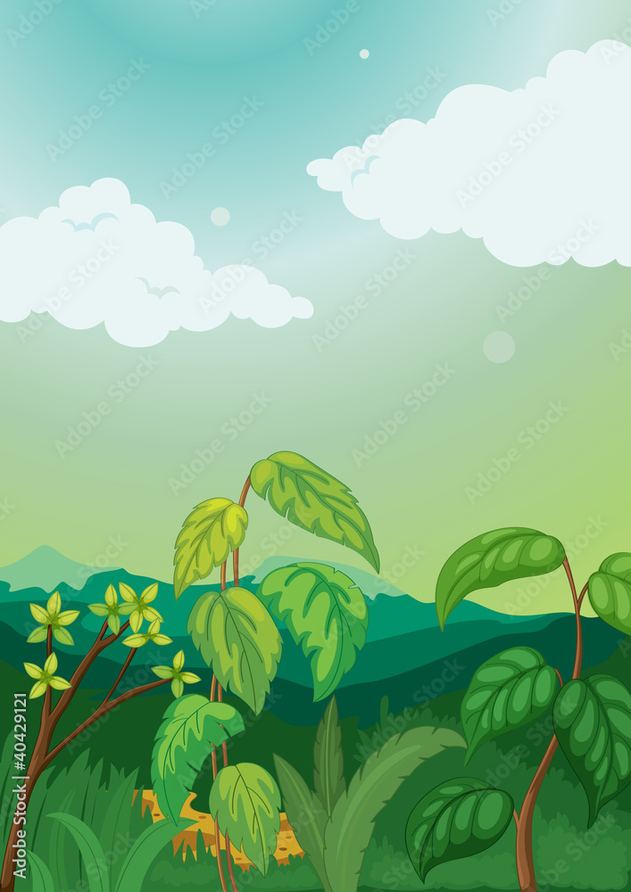 Obraz premium Plant background