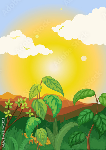 Plant background