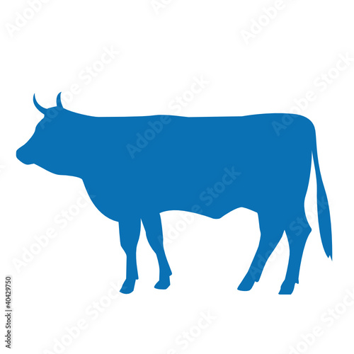 blaue kuh