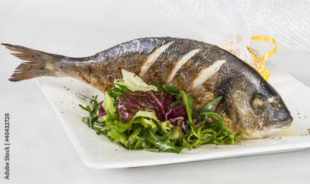 Dorada fish with salad on the white plate. Studio shot Dorada fish with salad on the white plate. Studio shot