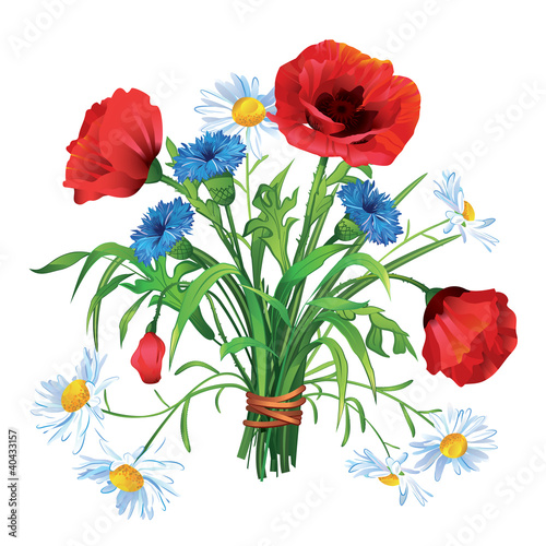 Fototapeta Naklejka Na Ścianę i Meble -  Colorful  Summer bouquet of wildflowers on a white background