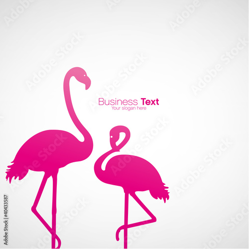 logo flamant rose