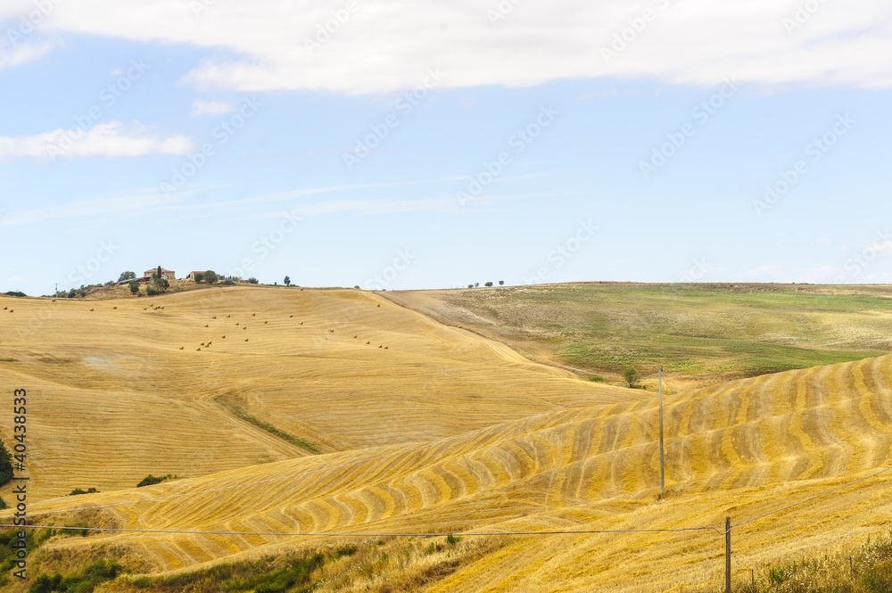 Landscape in Val d'Orcia (Tuscany)