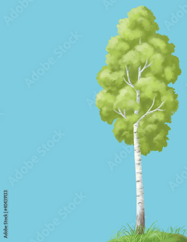 Picture, tree and sky