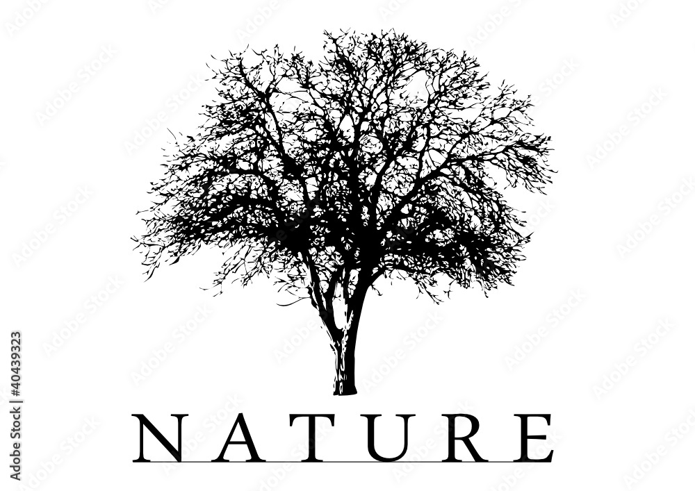 Obraz premium Nature