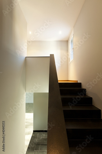 beautiful modern house  black staircase