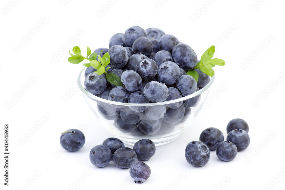 fresh blueberries in a bowl fresh blueberries in a bowl