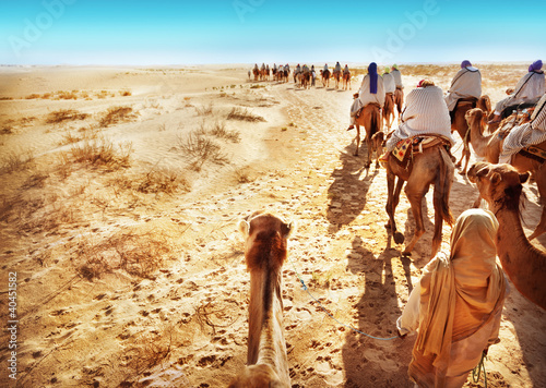 Sahara desert © adisa