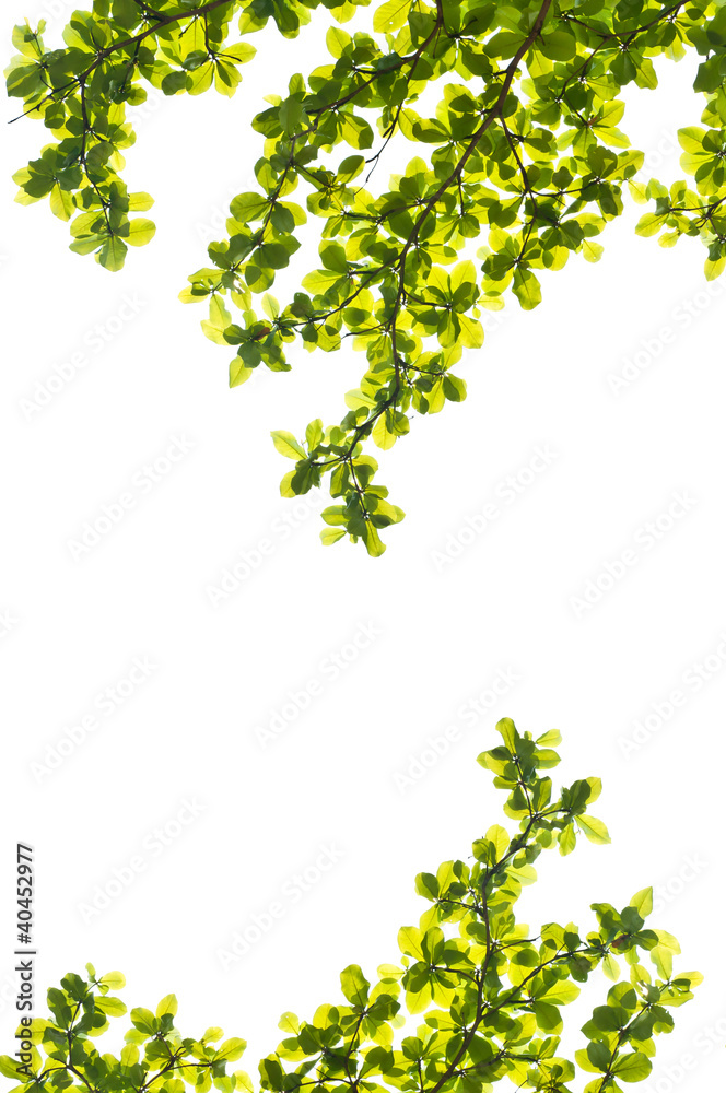 left on white blackground left on white blackground