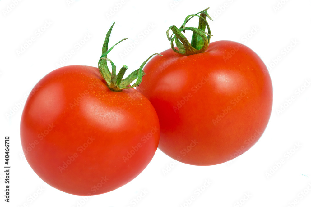 Fresh tomatoes isolated on white Fresh tomatoes isolated on white
