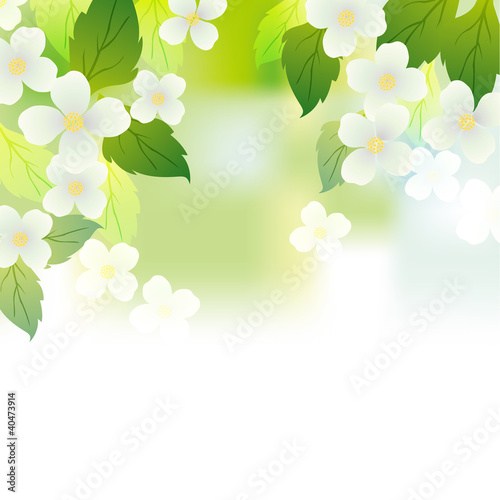 jasmine background