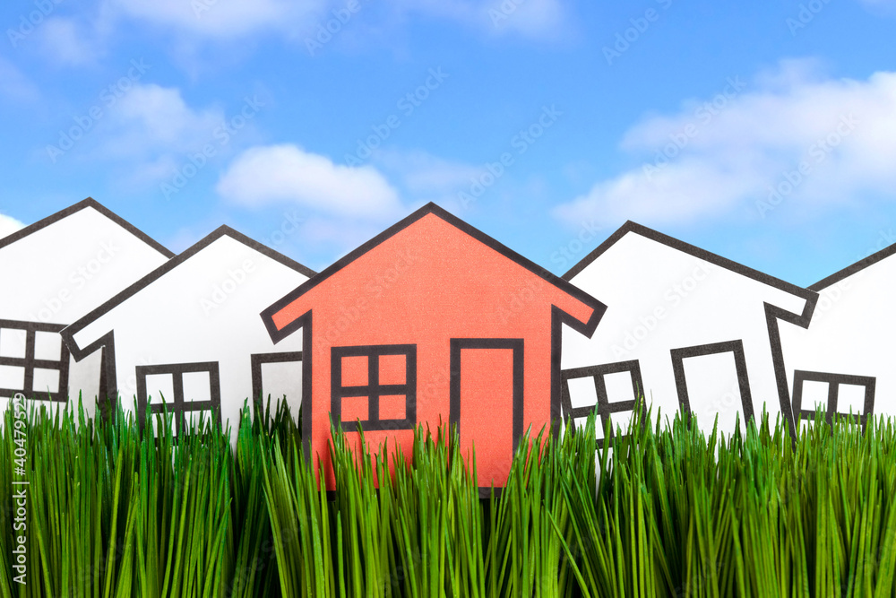 House and green grass House and green grass
