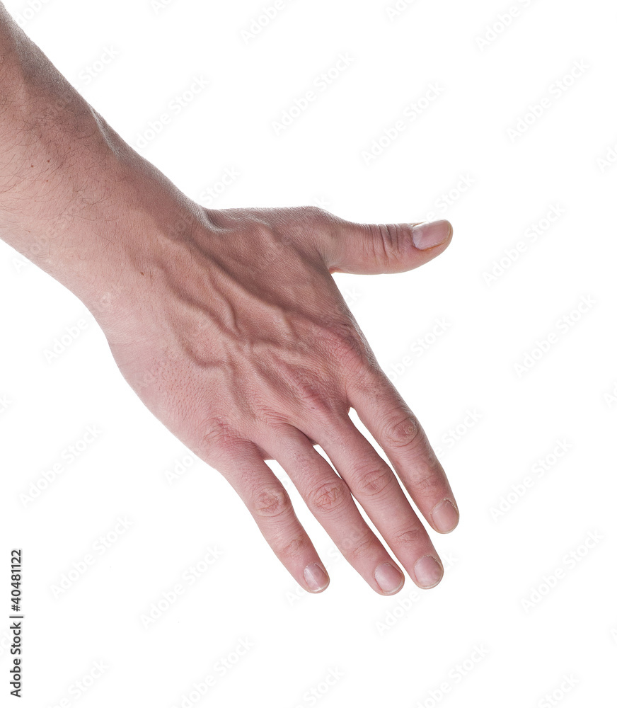Hand