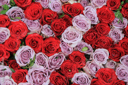 lilac and red roses in a group