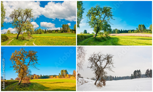 Fototapeta Naklejka Na Ścianę i Meble -  Jahreszeiten