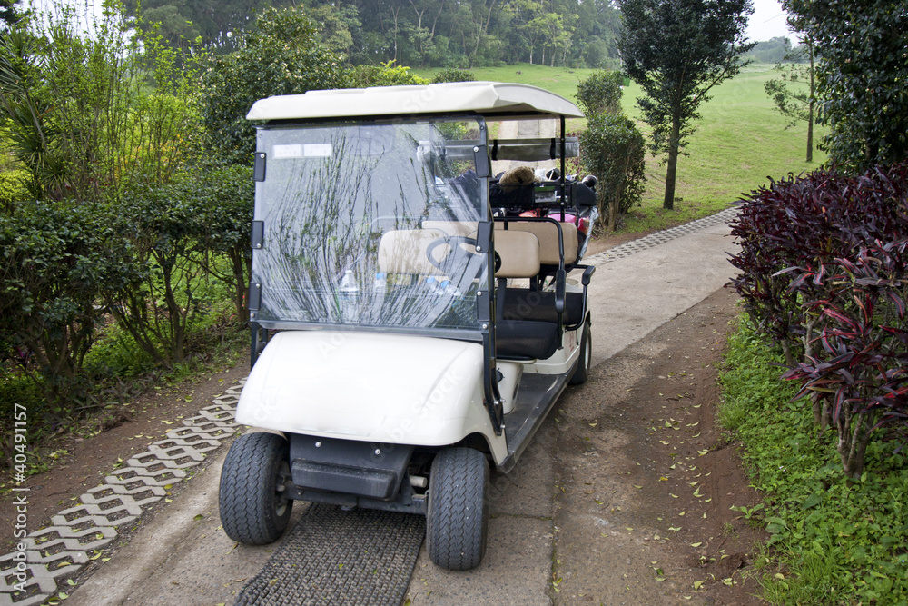 Tropical Golf Cart