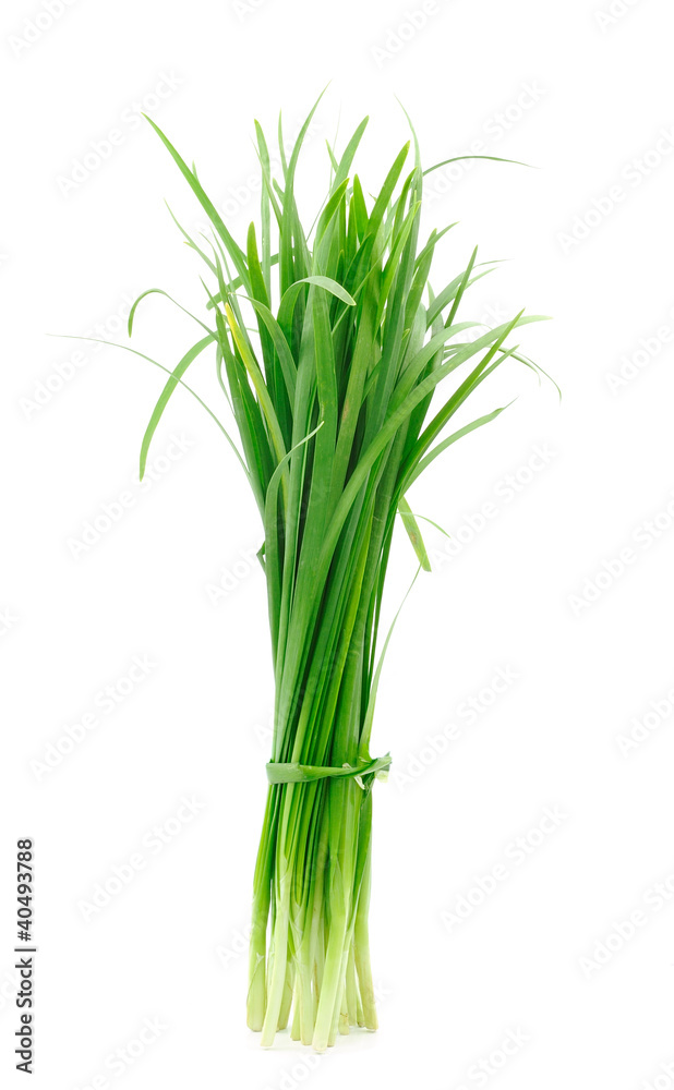 Leek on white background Leek on white background