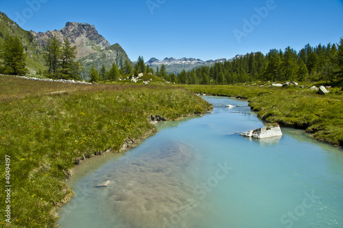 Alpe Devero, torrente, prato e alberi photo