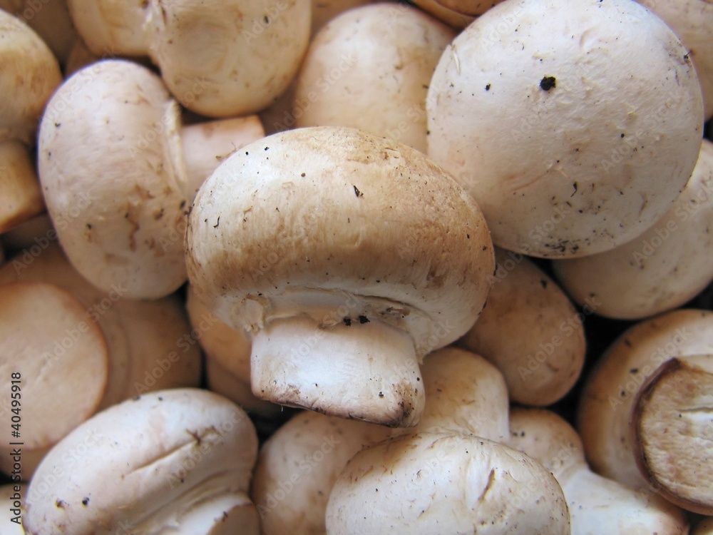 Campiñones enteros, mushroom. Campiñones enteros, mushroom.