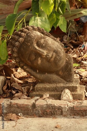 Buddha statue thailand