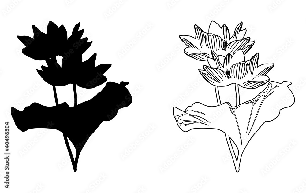 蓮 シルエット 線画 Stock イラスト Adobe Stock