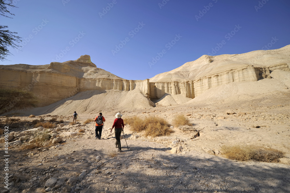 Wadi Zohar trek in Judea desert.