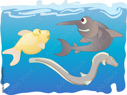 fish cartoon