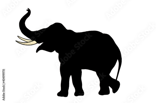 Elephant black