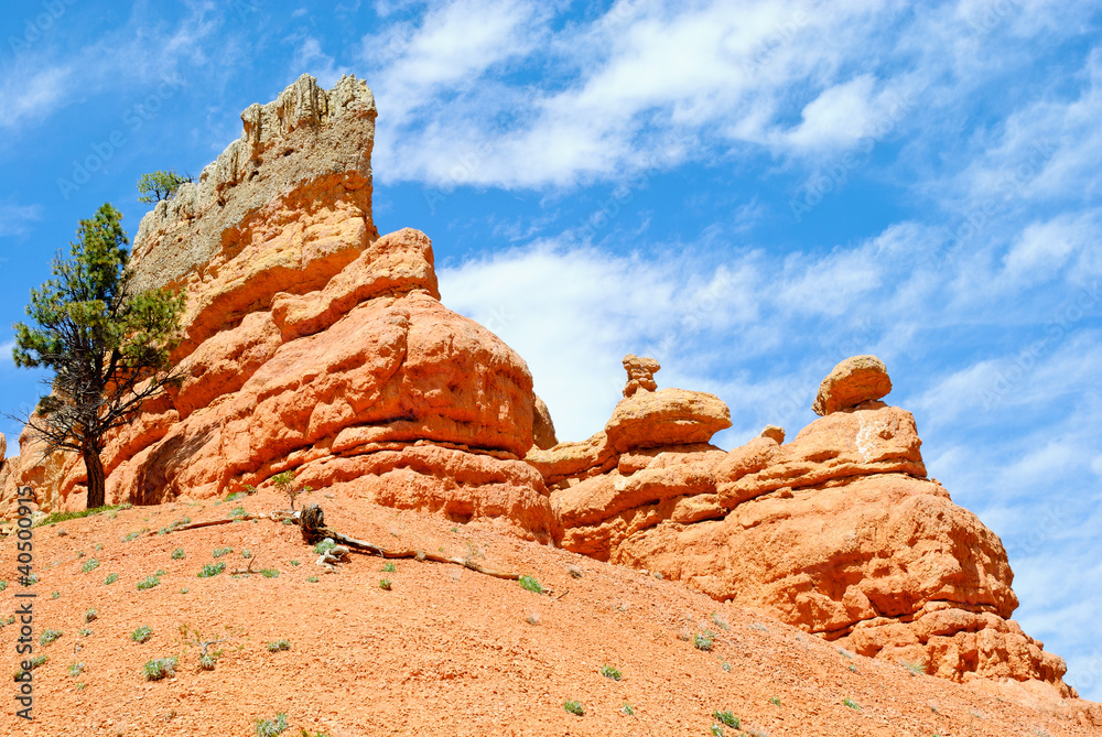 Fototapeta premium Red rock nearby Bryce Canyon NP, Utah, USA