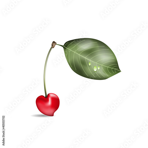 Kirsche mit Stengel, Blatt und Wassertropfen