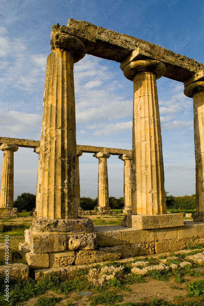 Antica Grecia , area archeologica Metaponto , Italia