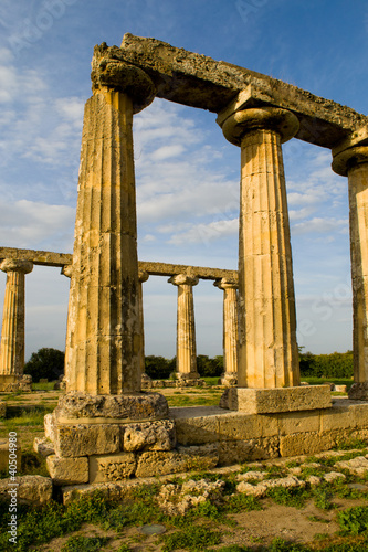 Antica Grecia , area archeologica Metaponto , Italia photo