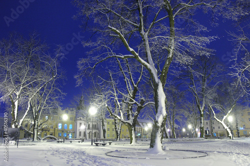 park w Krasnymstawie