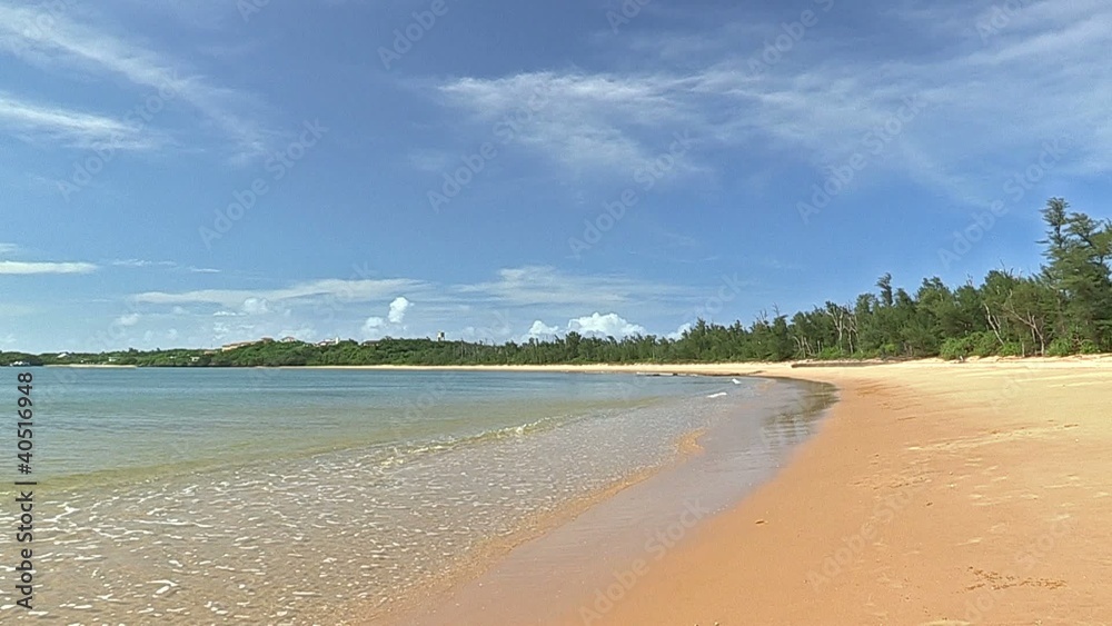 Summer beach in Iriomote island,Okinawa,Japan Summer beach in Iriomote island,Okinawa,Japan