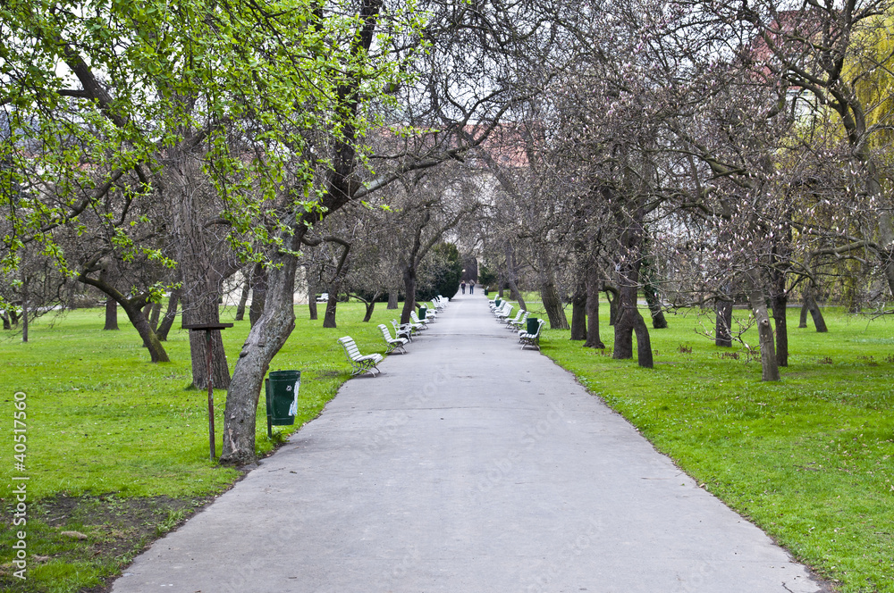 walk in the garden