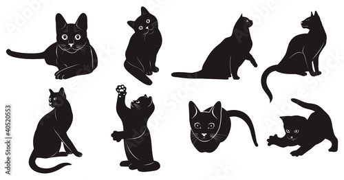 Silhouettes of cats