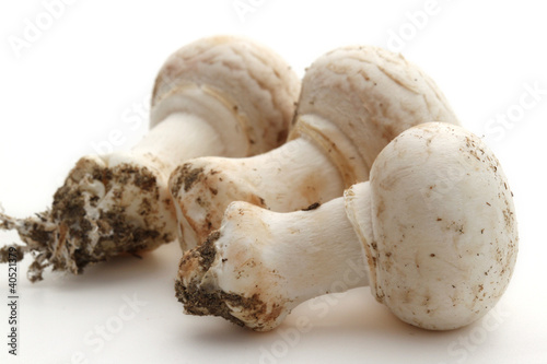 Champignons