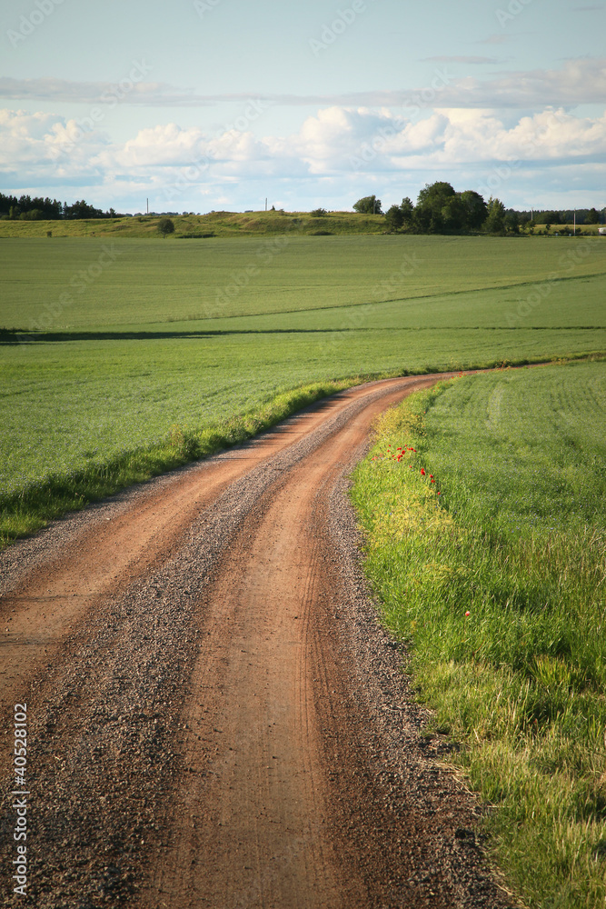 Swedish Country Road