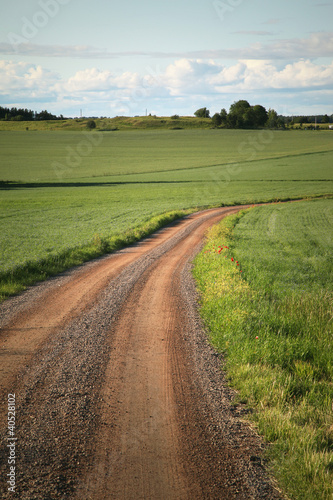 Swedish Country Road