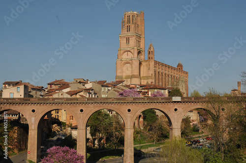 albi