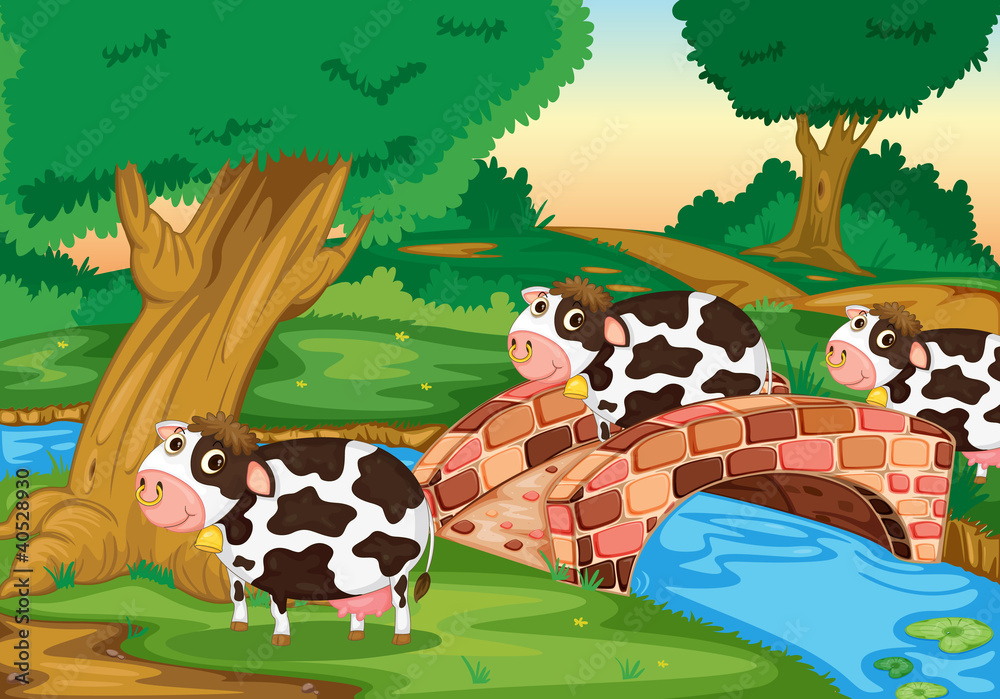Fototapeta premium 3 cows