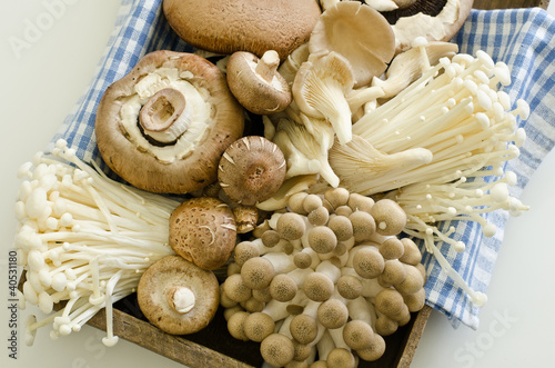 mixed mushrooms for stir fry