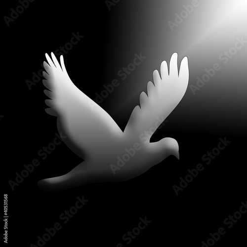 Drawing dove vector illustration