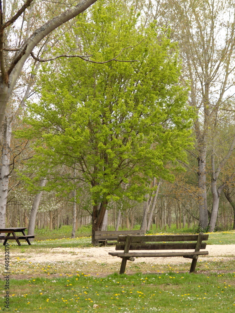 Aire de détente