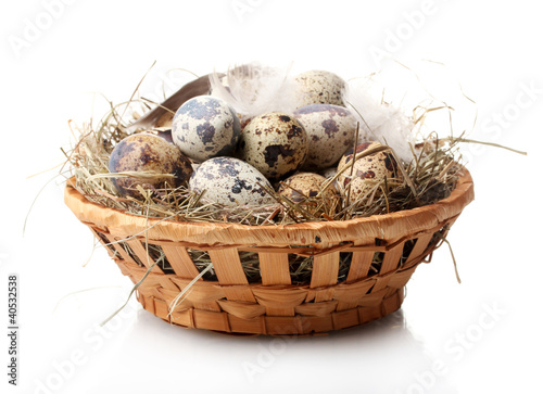 quail eggs in nest isolated on white