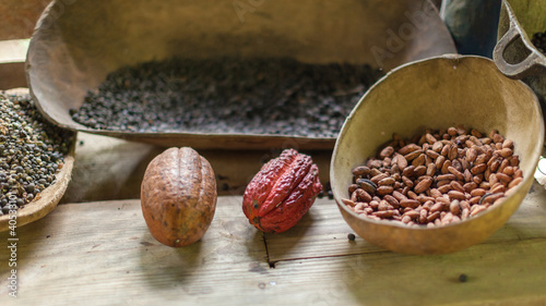 Cocoa-the main ingredient for chocolate