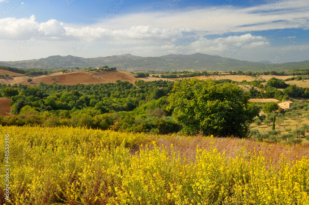 rural landscape in toscana